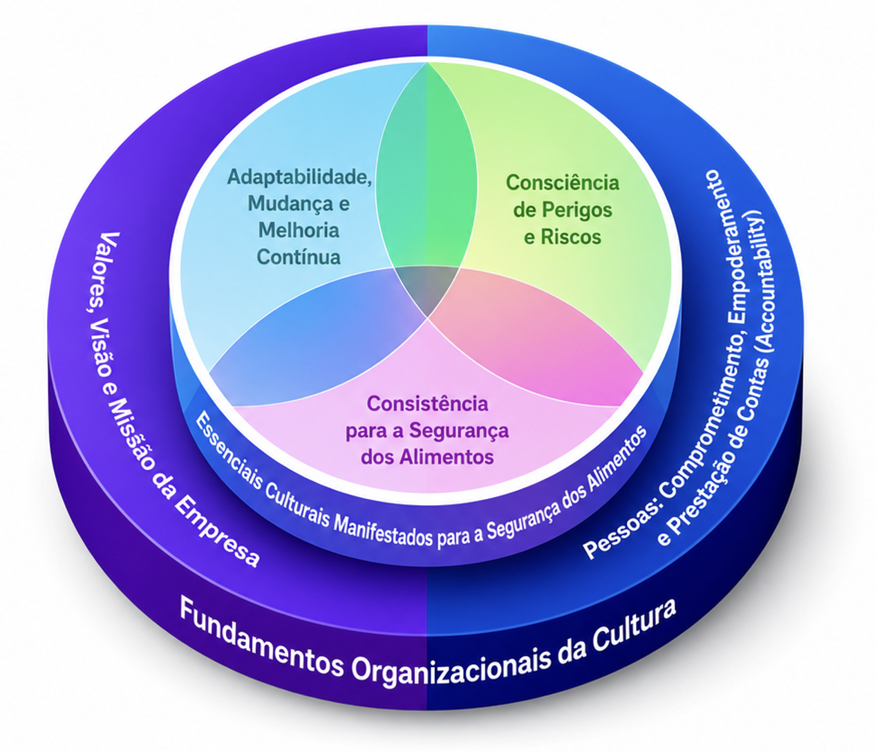 Figura 1 - Dimensões da Cultura de Segurança dos Alimentos